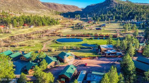 Tiny photo for 166 N Main Street, Greer, AZ 85927 (MLS # 260315)