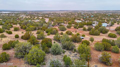 Photo of 8423 Apache Drive, Show Low, AZ 85901 (MLS # 259826)