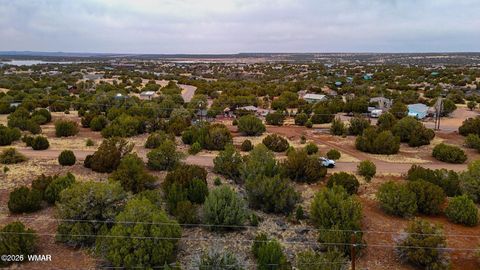 Tiny photo for 8423 Apache Drive, Show Low, AZ 85901 (MLS # 259826)