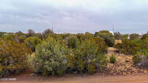 Tiny photo for 8423 Apache Drive, Show Low, AZ 85901 (MLS # 259826)