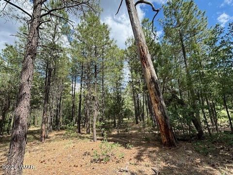 Tiny photo for 2340 W Pinegrass Road, Show Low, AZ 85901 (MLS # 259455)