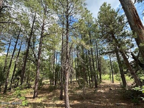 Tiny photo for 2340 W Pinegrass Road, Show Low, AZ 85901 (MLS # 259455)