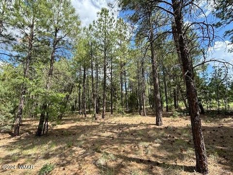 Tiny photo for 2340 W Pinegrass Road, Show Low, AZ 85901 (MLS # 259455)