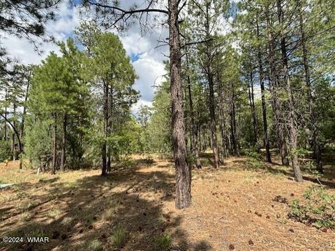 Tiny photo for 2340 W Pinegrass Road, Show Low, AZ 85901 (MLS # 259455)