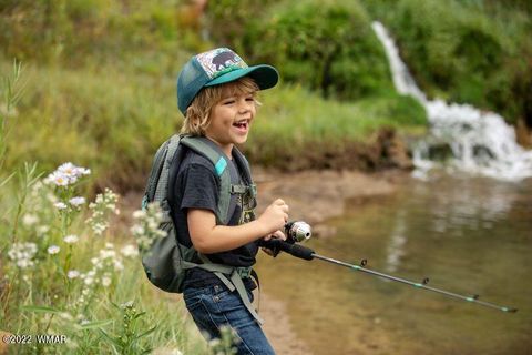 Tiny photo for 2340 W Pinegrass Road, Show Low, AZ 85901 (MLS # 259455)