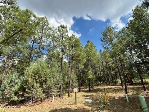 Photo of 2340 W Pinegrass Road, Show Low, AZ 85901 (MLS # 259455)