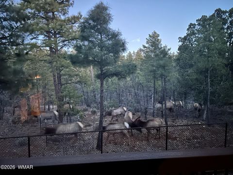 Tiny photo for 2311 S Sierra Park Trail, Show Low, AZ 85901 (MLS # 260302)