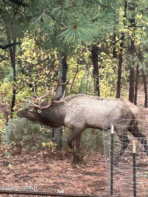 Tiny photo for 2311 S Sierra Park Trail, Show Low, AZ 85901 (MLS # 260302)