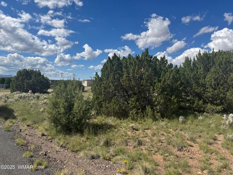 Photo of 79 Alpine Lane, Concho, AZ 85924 (MLS # 257948)