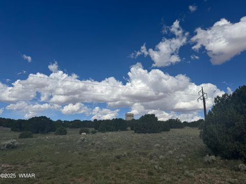 Tiny photo for 79 Alpine Lane, Concho, AZ 85924 (MLS # 257948)