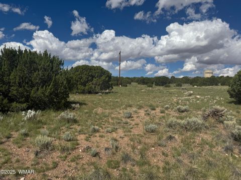 Tiny photo for 79 Alpine Lane, Concho, AZ 85924 (MLS # 257948)