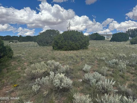 Tiny photo for 79 Alpine Lane, Concho, AZ 85924 (MLS # 257948)