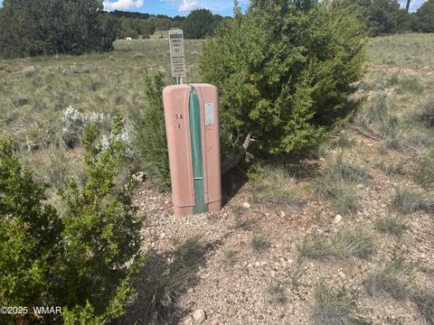 Tiny photo for 79 Alpine Lane, Concho, AZ 85924 (MLS # 257948)