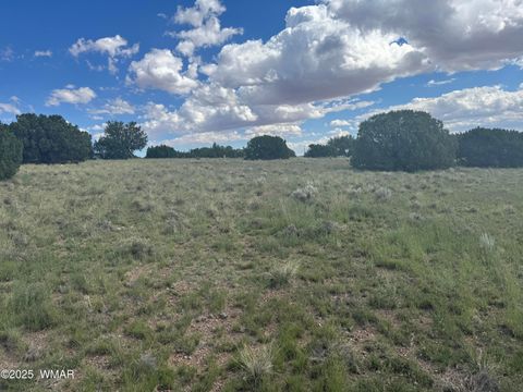 Tiny photo for 79 Alpine Lane, Concho, AZ 85924 (MLS # 257948)