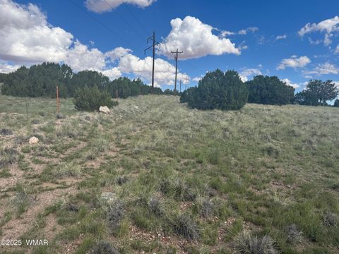 Tiny photo for 79 Alpine Lane, Concho, AZ 85924 (MLS # 257948)