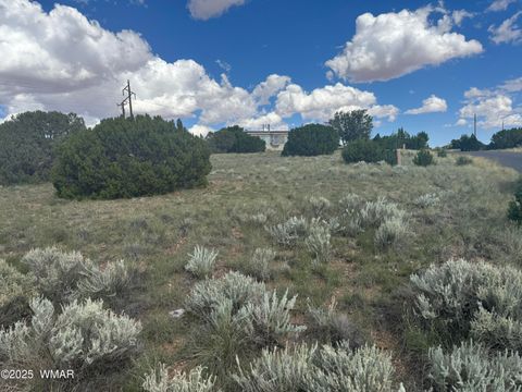 Tiny photo for 79 Alpine Lane, Concho, AZ 85924 (MLS # 257948)