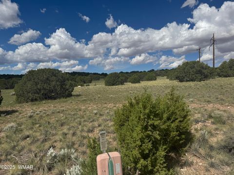 Tiny photo for 79 Alpine Lane, Concho, AZ 85924 (MLS # 257948)