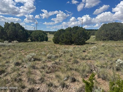 Tiny photo for 79 Alpine Lane, Concho, AZ 85924 (MLS # 257948)