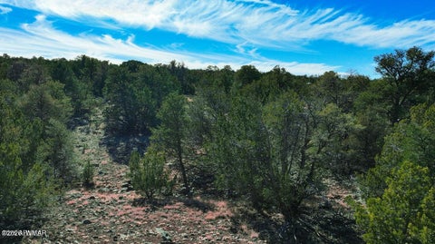 Tiny photo for 766 E Hualpai Trail, Williams, AZ 86046 (MLS # 262676)