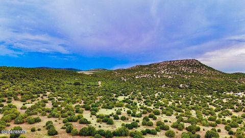 Tiny photo for TBD Co Rd N3218 37 Acres, Vernon, AZ 85940 (MLS # 259238)