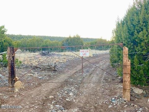 Tiny photo for TBD Co Rd N3218 37 Acres, Vernon, AZ 85940 (MLS # 259238)
