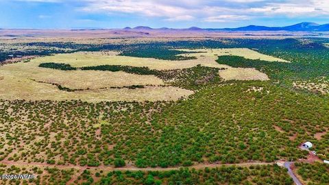 Tiny photo for TBD Co Rd N3218 37 Acres, Vernon, AZ 85940 (MLS # 259238)