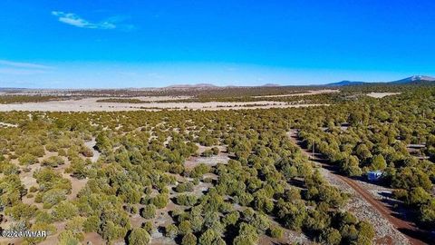 Tiny photo for TBD Co Rd N3218 37 Acres, Vernon, AZ 85940 (MLS # 259238)