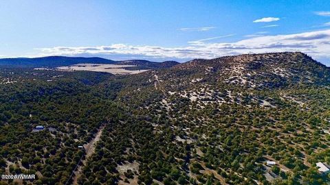 Tiny photo for TBD Co Rd N3218 37 Acres, Vernon, AZ 85940 (MLS # 259238)