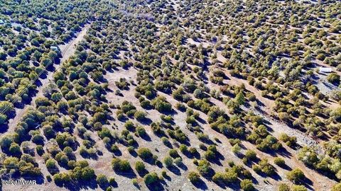 Tiny photo for TBD Co Rd N3218 37 Acres, Vernon, AZ 85940 (MLS # 259238)