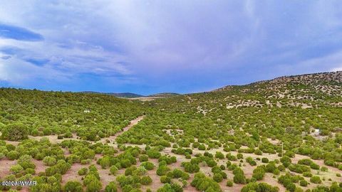 Tiny photo for TBD Co Rd N3218 37 Acres, Vernon, AZ 85940 (MLS # 259238)