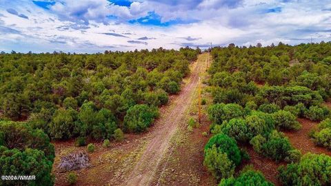 Tiny photo for TBD Co Rd N3218 37 Acres, Vernon, AZ 85940 (MLS # 259238)