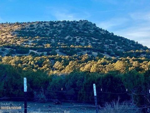 Tiny photo for TBD Co Rd N3218 37 Acres, Vernon, AZ 85940 (MLS # 259238)