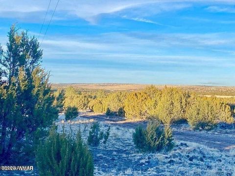 Tiny photo for TBD Co Rd N3218 37 Acres, Vernon, AZ 85940 (MLS # 259238)