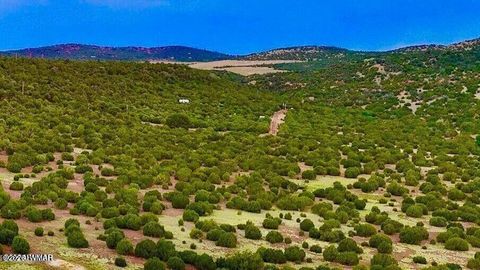Tiny photo for TBD Co Rd N3218 37 Acres, Vernon, AZ 85940 (MLS # 259238)