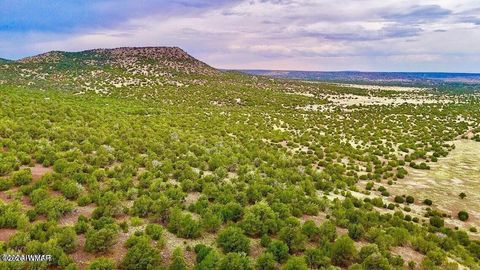 Tiny photo for TBD Co Rd N3218 37 Acres, Vernon, AZ 85940 (MLS # 259238)