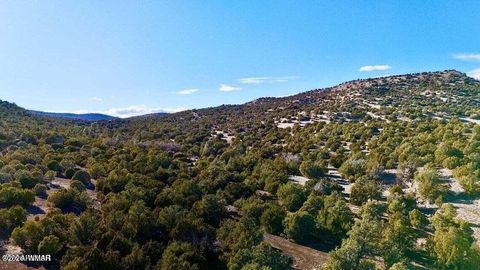Tiny photo for TBD Co Rd N3218 37 Acres, Vernon, AZ 85940 (MLS # 259238)