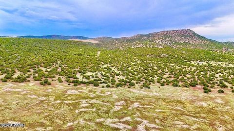 Tiny photo for TBD Co Rd N3218 37 Acres, Vernon, AZ 85940 (MLS # 259238)