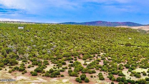 Tiny photo for TBD Co Rd N3218 37 Acres, Vernon, AZ 85940 (MLS # 259238)