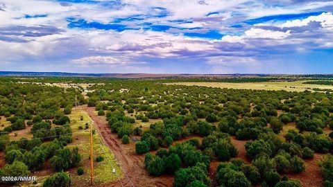 Photo of TBD Co Rd N3218 37 Acres, Vernon, AZ 85940 (MLS # 259238)