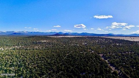 Tiny photo for TBD Co Rd N3218 37 Acres, Vernon, AZ 85940 (MLS # 259238)