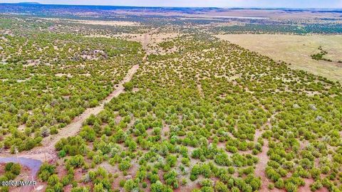 Tiny photo for TBD Co Rd N3218 37 Acres, Vernon, AZ 85940 (MLS # 259238)