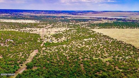 Tiny photo for TBD Co Rd N3218 37 Acres, Vernon, AZ 85940 (MLS # 259238)