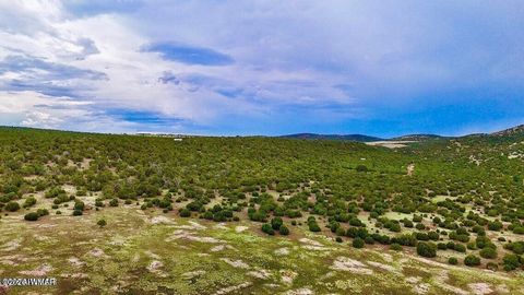 Tiny photo for TBD Co Rd N3218 37 Acres, Vernon, AZ 85940 (MLS # 259238)