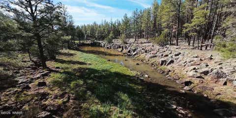 Tiny photo for 950 Birdsong Way, Lakeside, AZ 85929 (MLS # 260900)