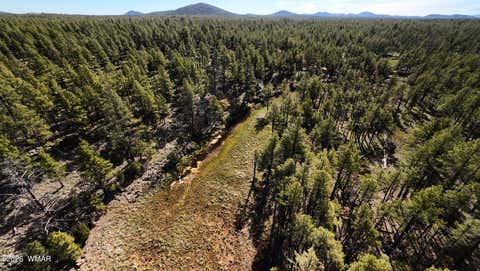 Tiny photo for 950 Birdsong Way, Lakeside, AZ 85929 (MLS # 260900)