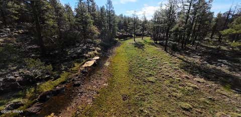 Tiny photo for 950 Birdsong Way, Lakeside, AZ 85929 (MLS # 260900)