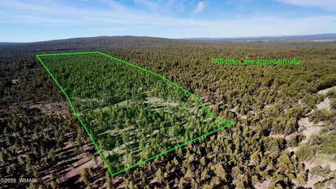 Tiny photo for 950 Birdsong Way, Lakeside, AZ 85929 (MLS # 260900)