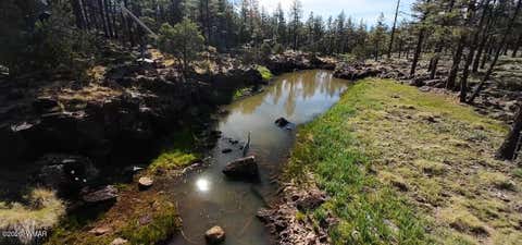 Tiny photo for 950 Birdsong Way, Lakeside, AZ 85929 (MLS # 260900)