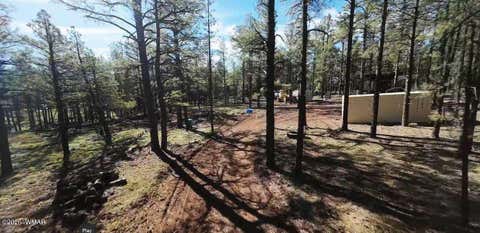 Tiny photo for 950 Birdsong Way, Lakeside, AZ 85929 (MLS # 260900)