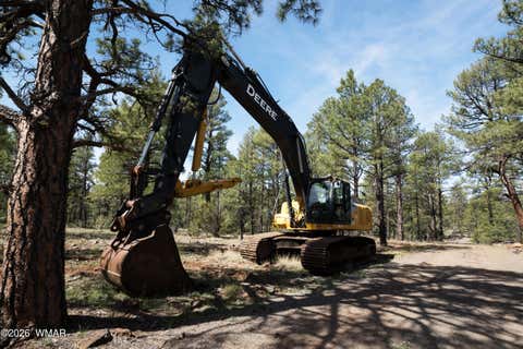 Tiny photo for 950 Birdsong Way, Lakeside, AZ 85929 (MLS # 260900)